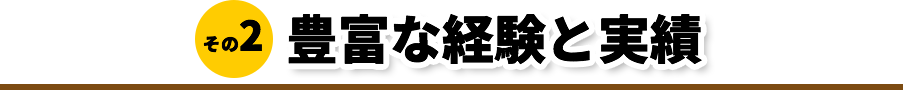 豊富な経験と実績